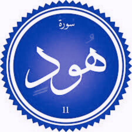 اختبار سورة هود