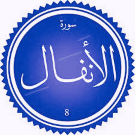 اختبار سورة الأنفال