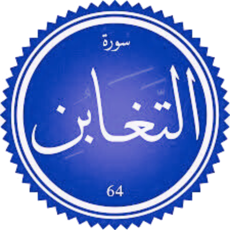 اختبار سورة التغابن